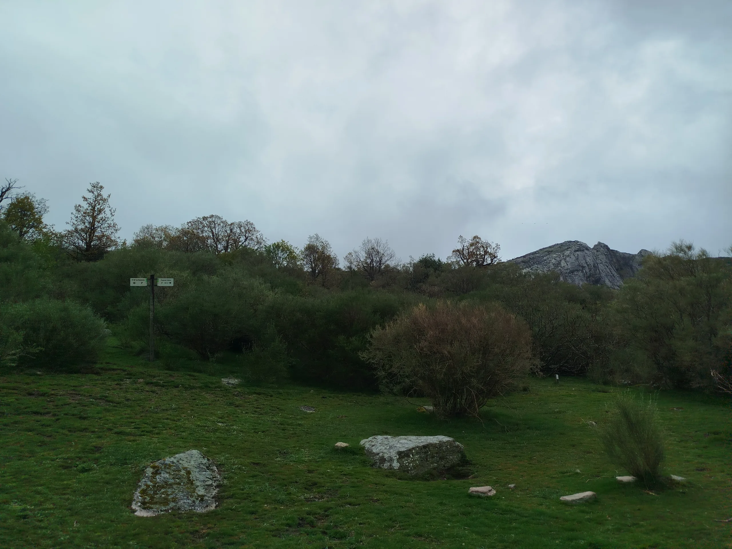 IMG_20260509_122029