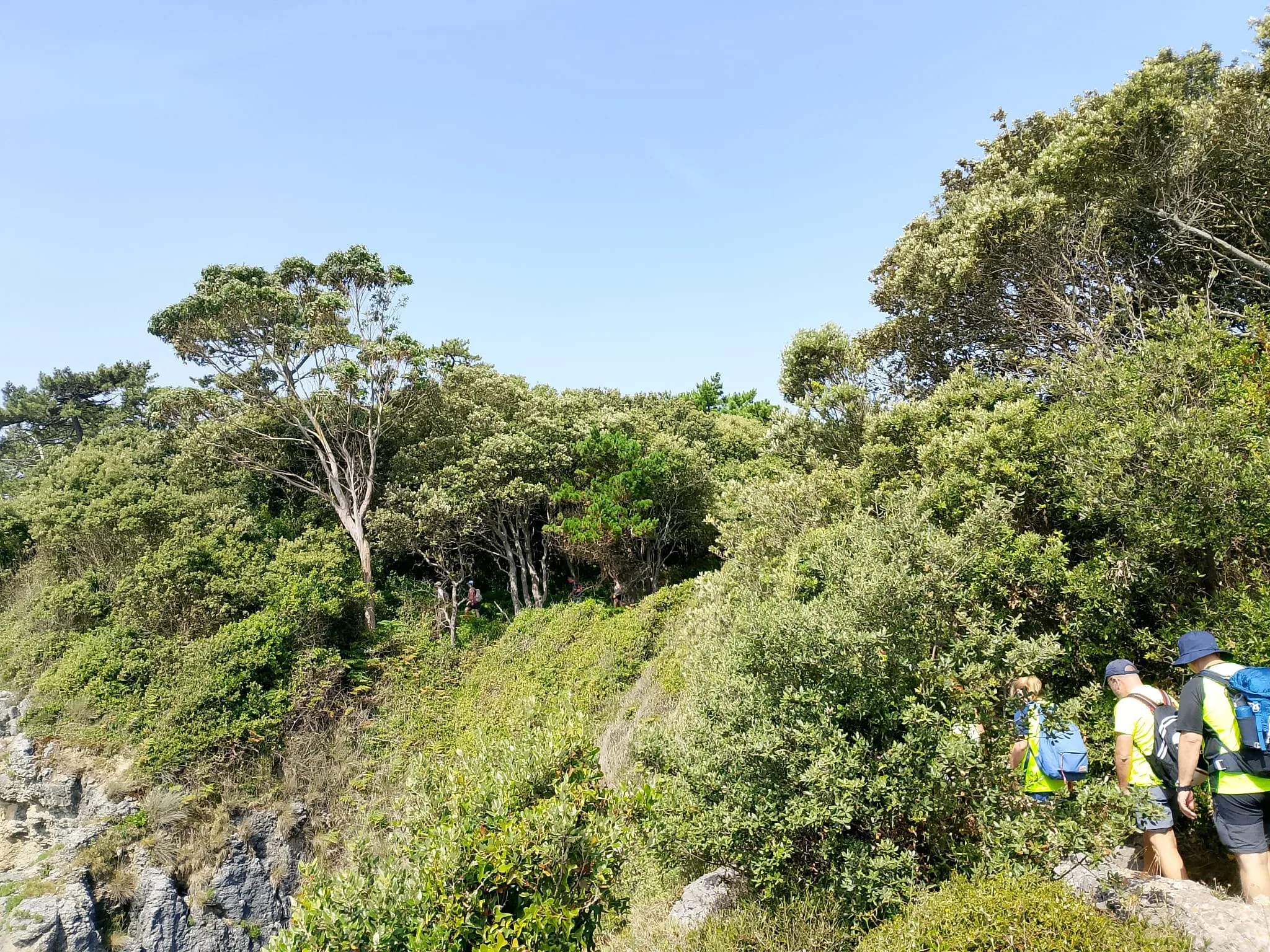IMG-20260622-WA0037