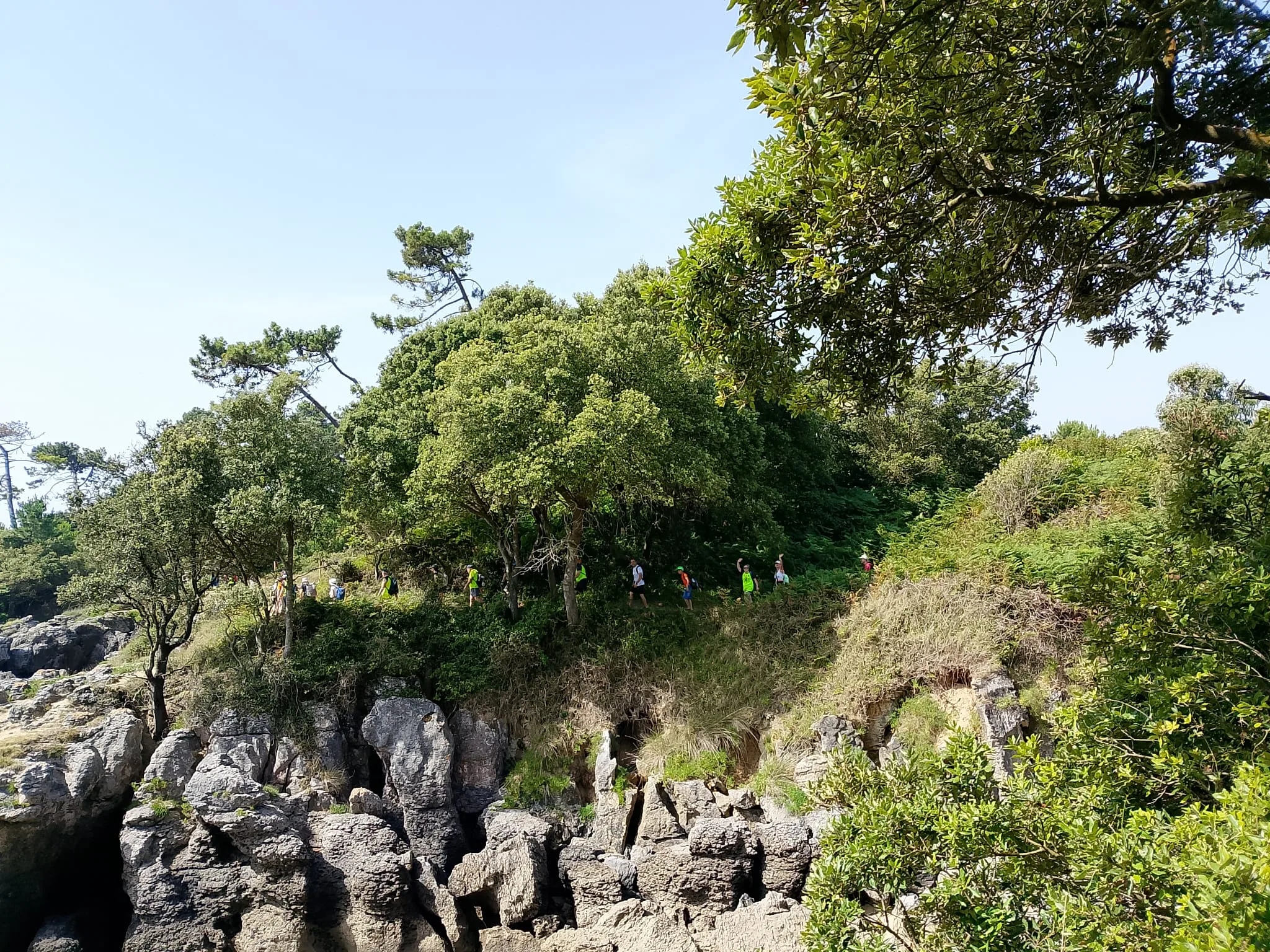 IMG-20260622-WA0038