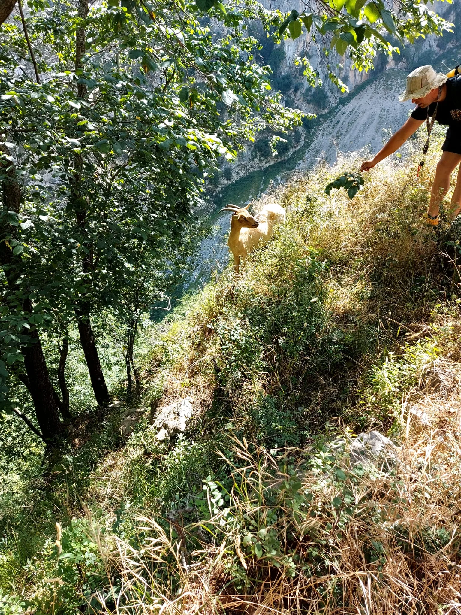 IMG-20260627-WA0058