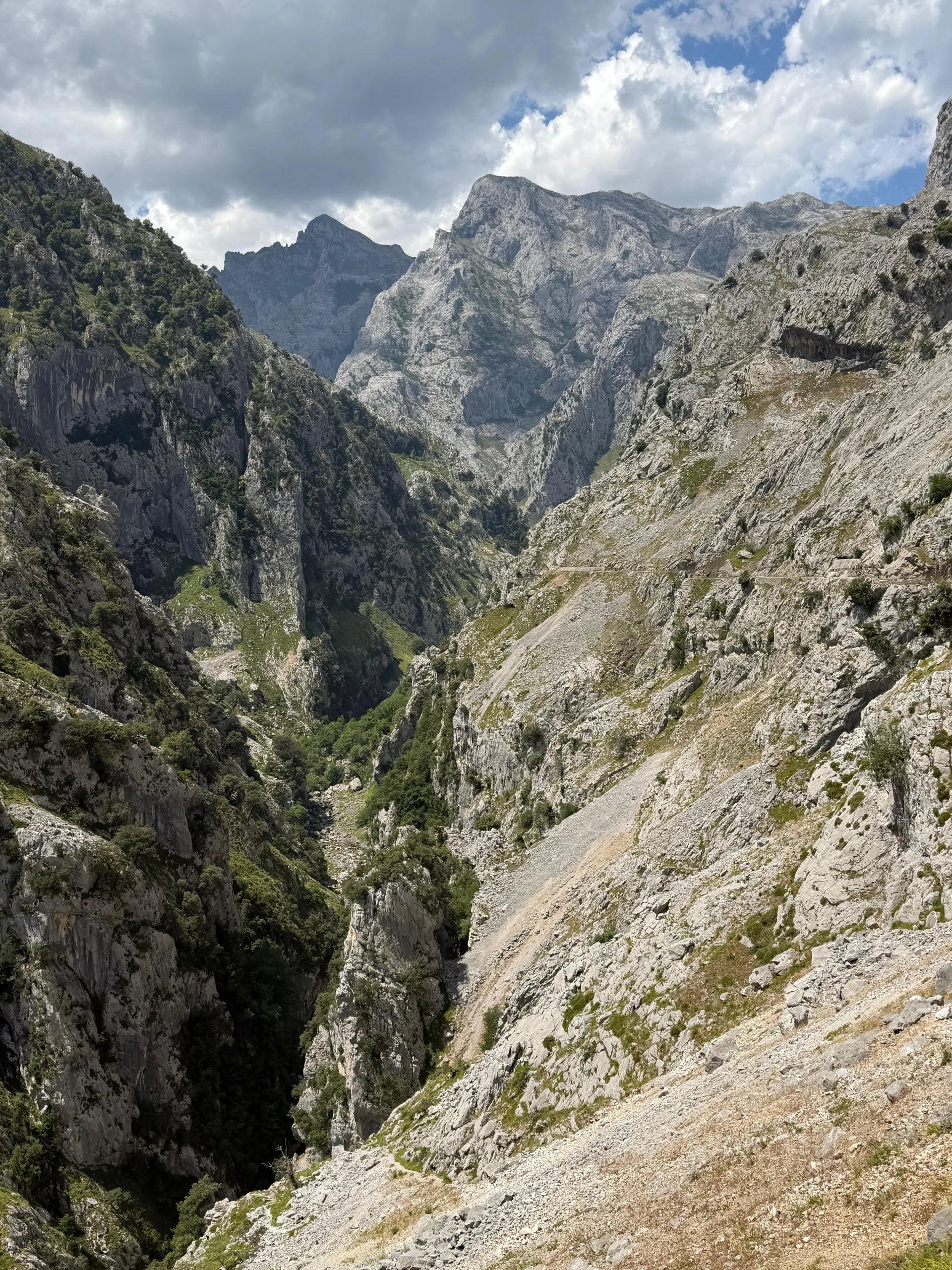 IMG-20260629-WA0091