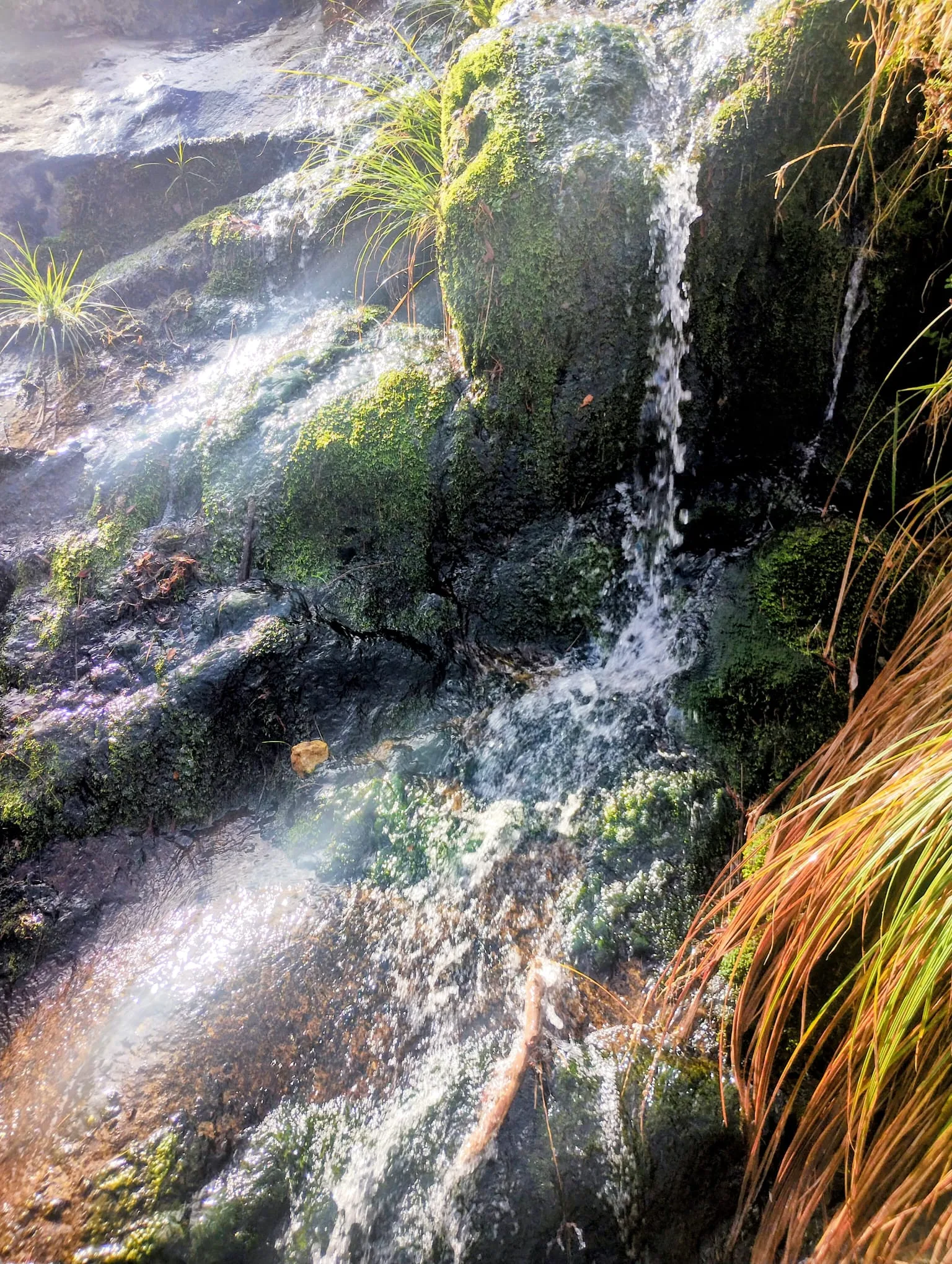 IMG-20260927-WA0017