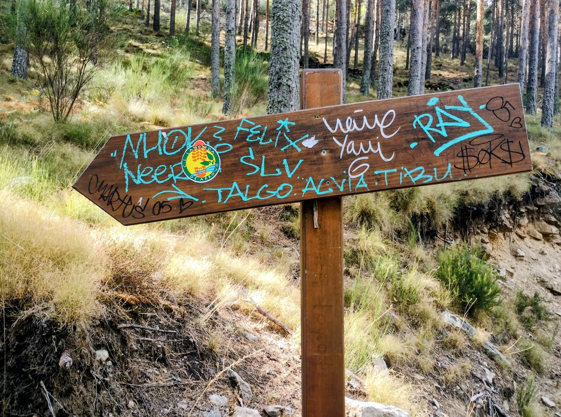 IMG-20260927-WA0023