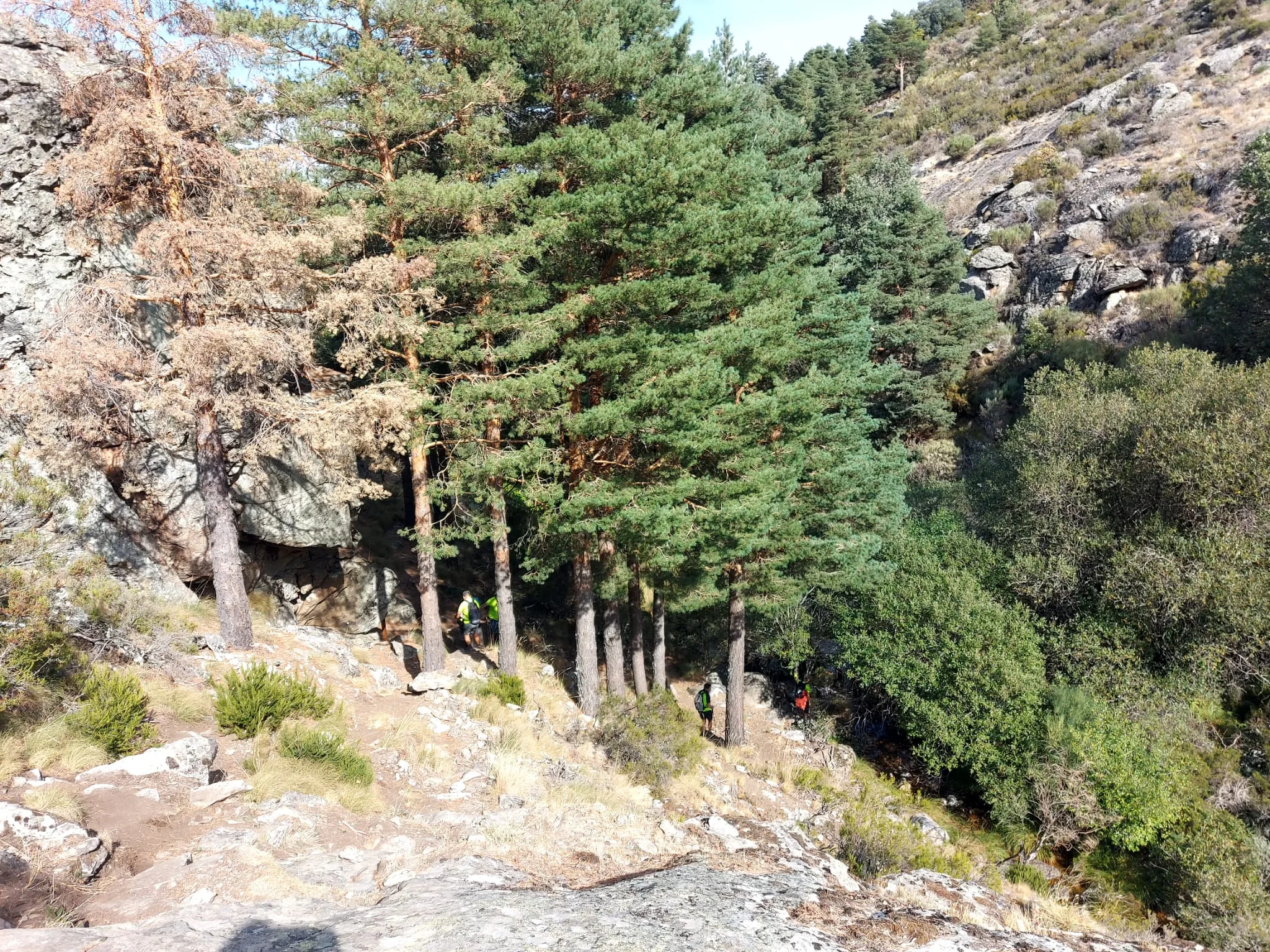 IMG-20260927-WA0039