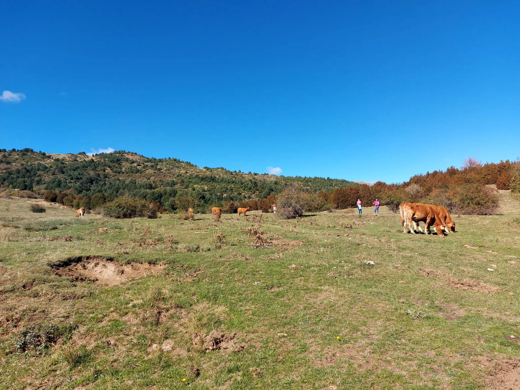 IMG-20261010-WA0020