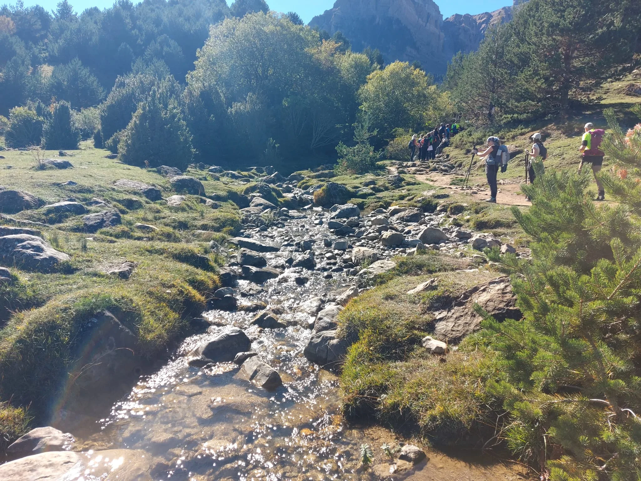 IMG-20261010-WA0021(1)