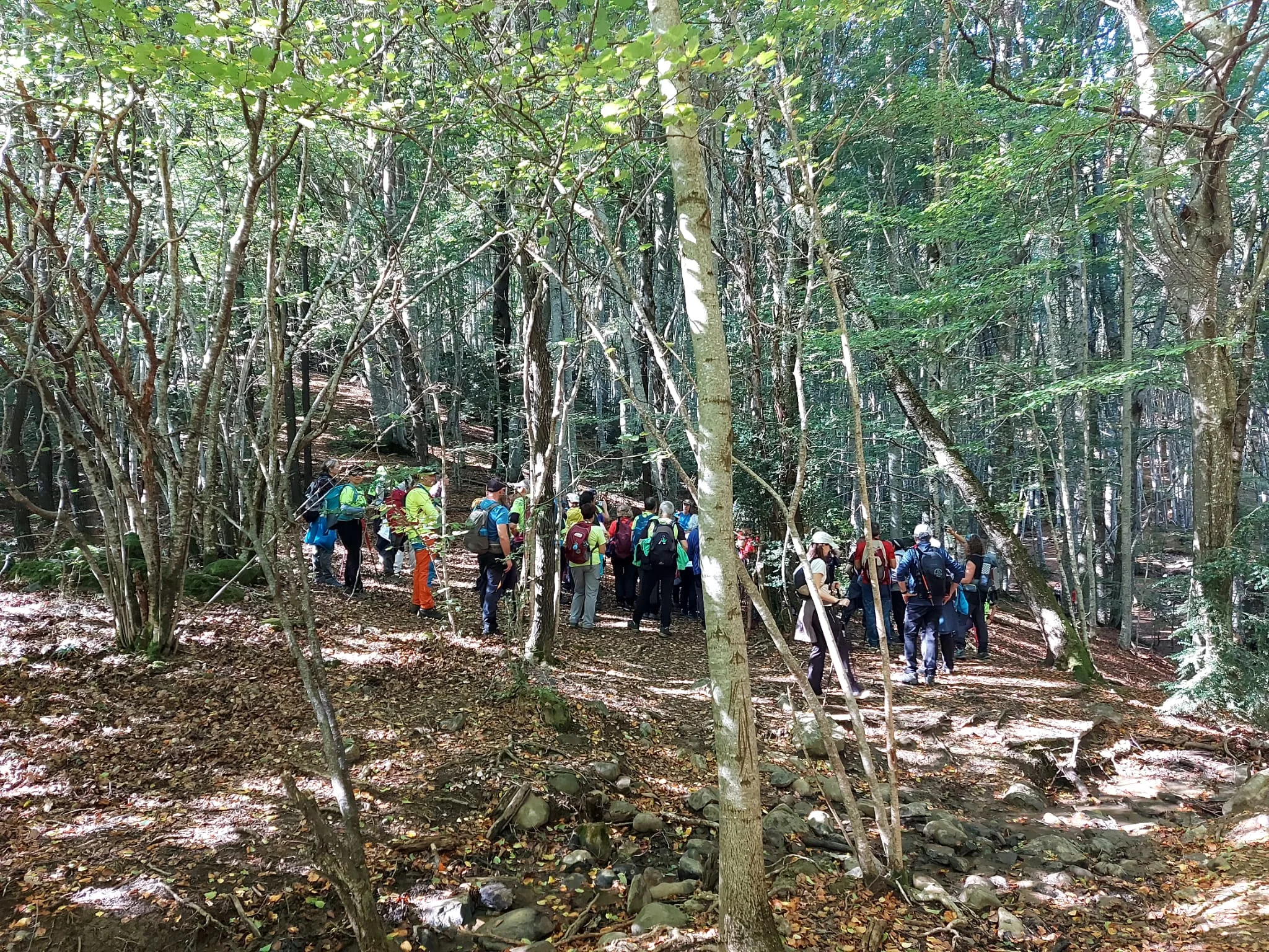 IMG-20261010-WA0034(1)
