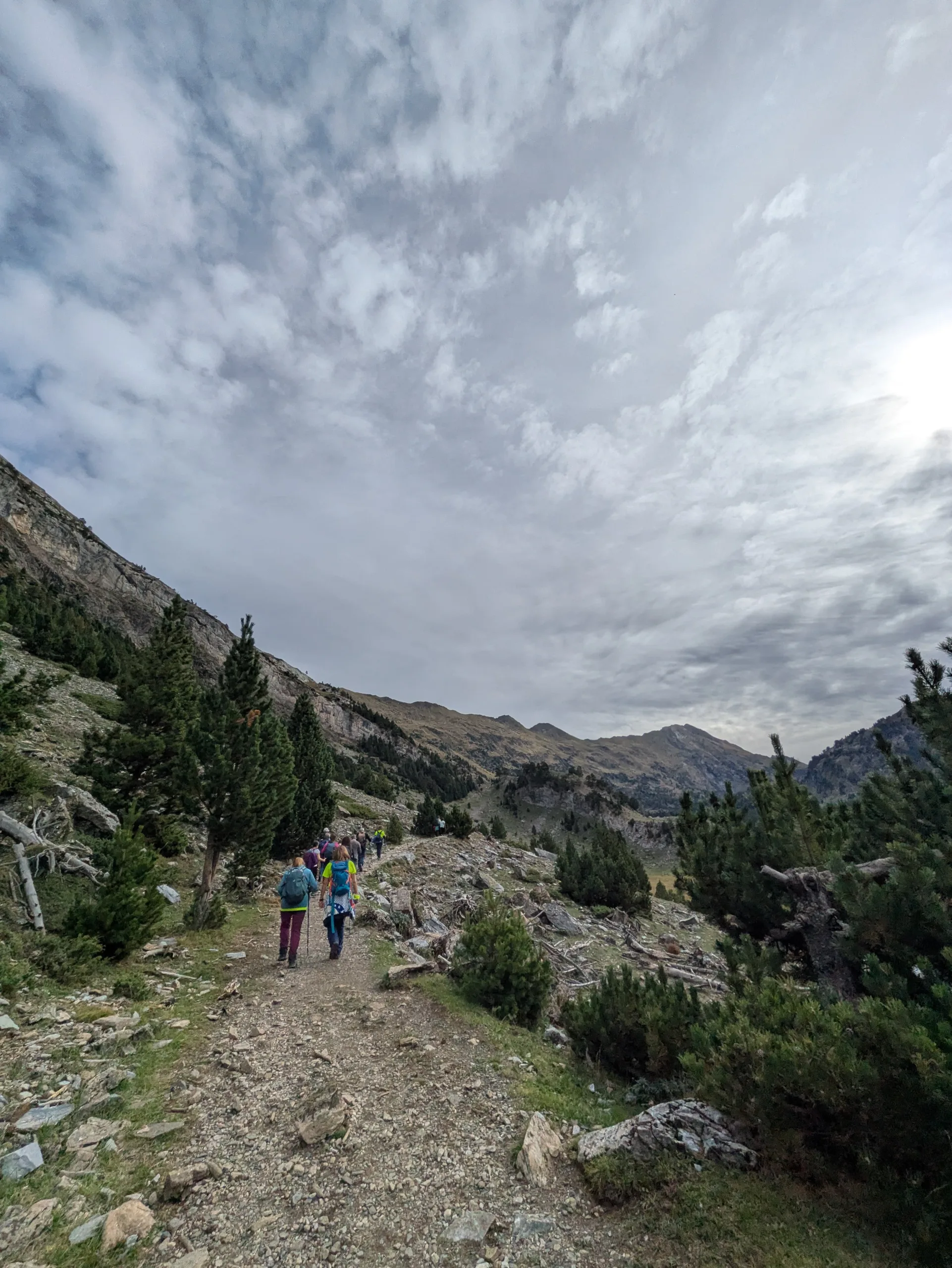 IMG-20261012-WA0250