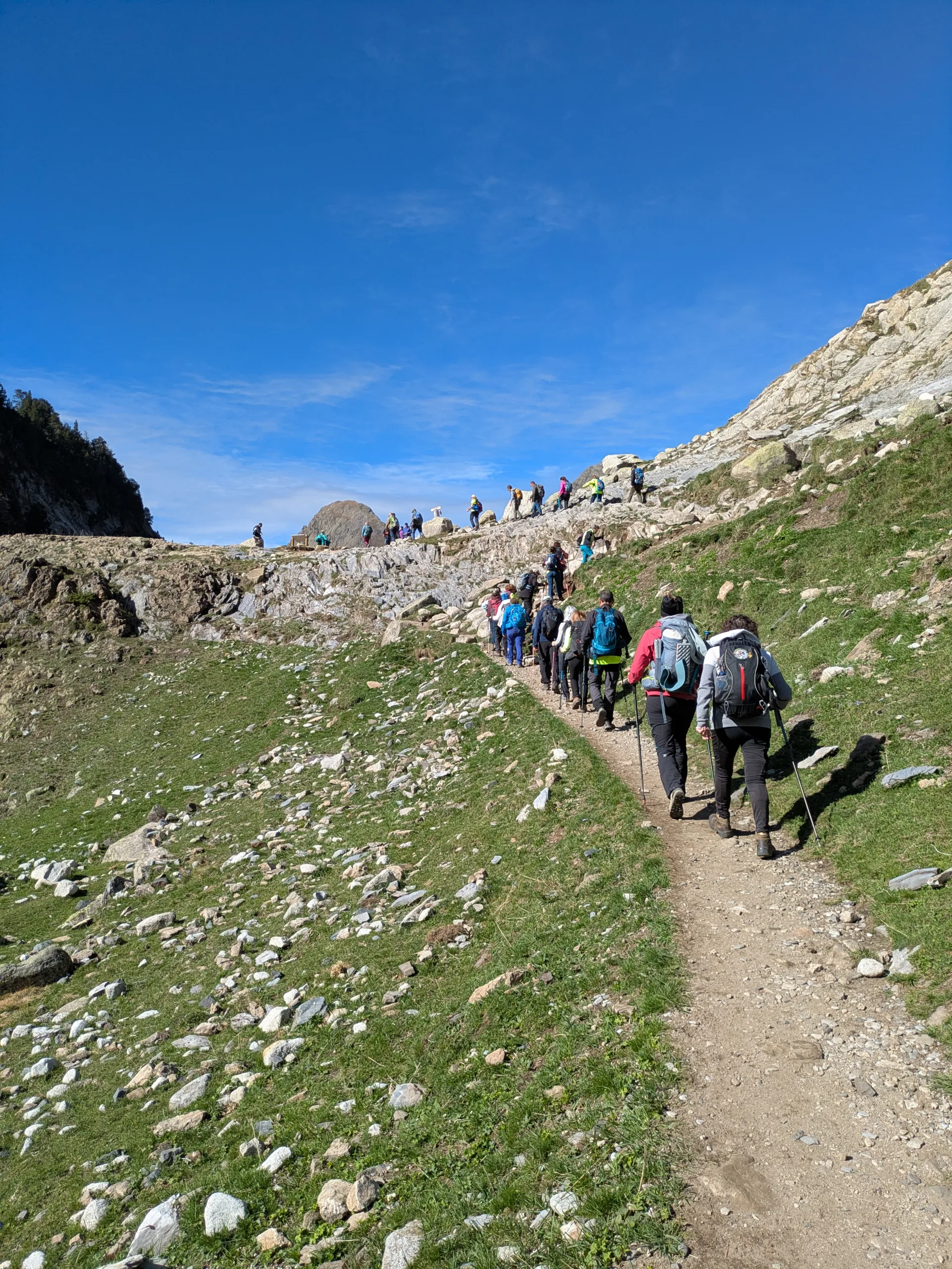 IMG-20261012-WA0264