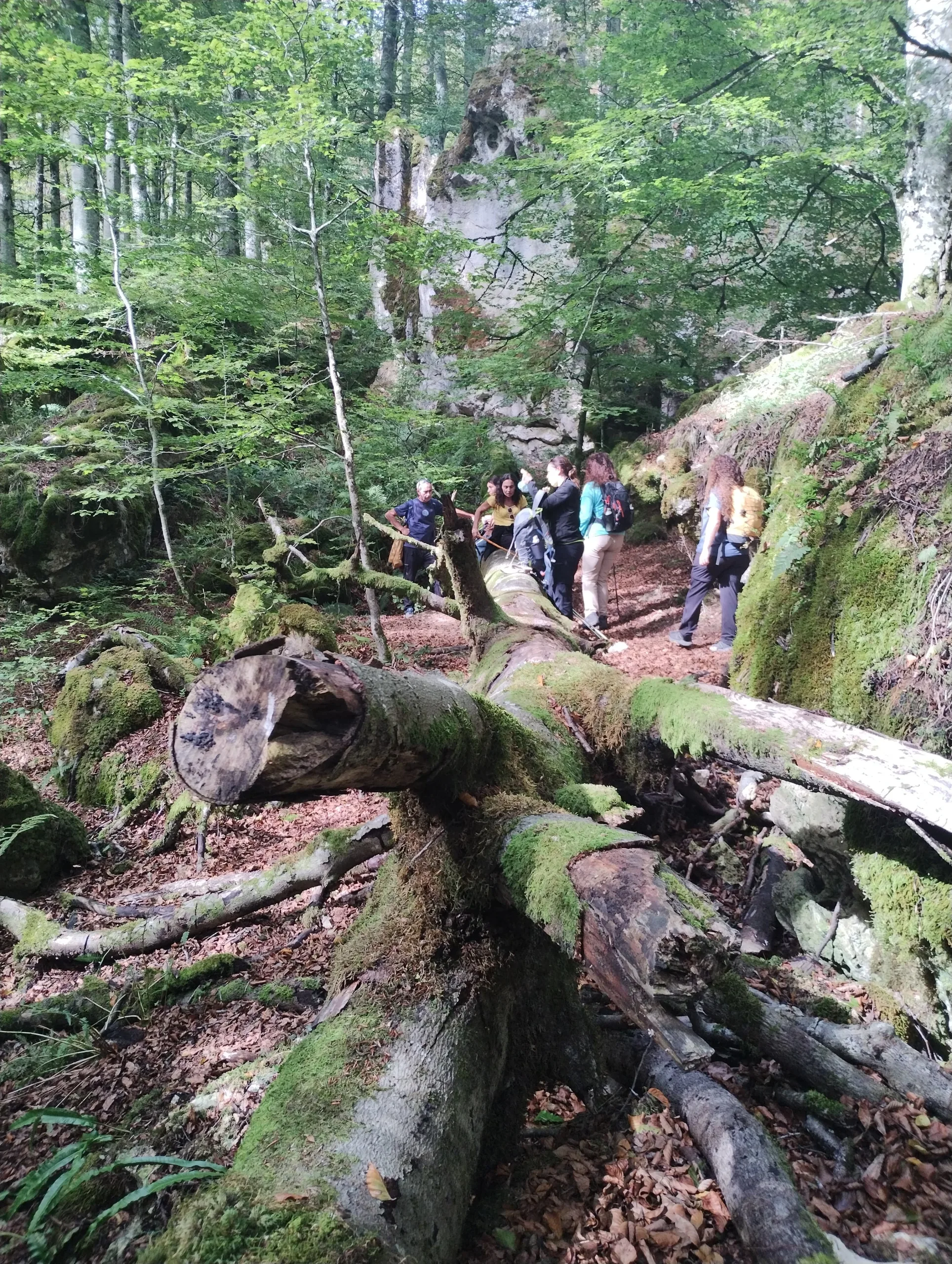 IMG-20261012-WA0324