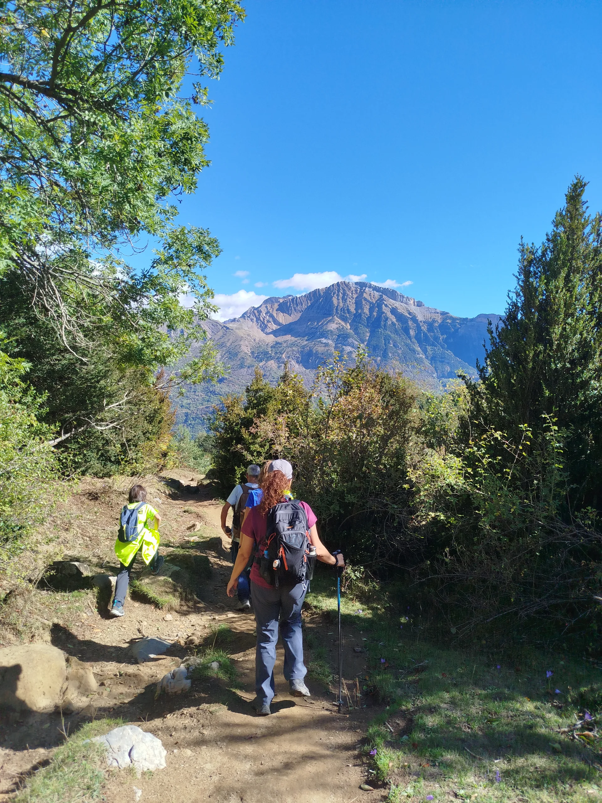 IMG_20261010_150253